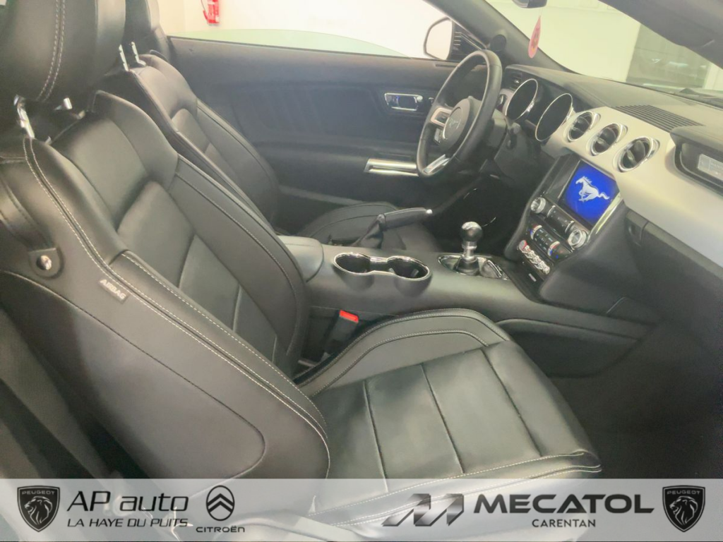 Ford Mustang (6) Fastback V8 BVM6 GT
