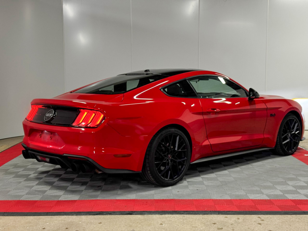 Ford Mustang (6) Fastback V8 BVM6 GT