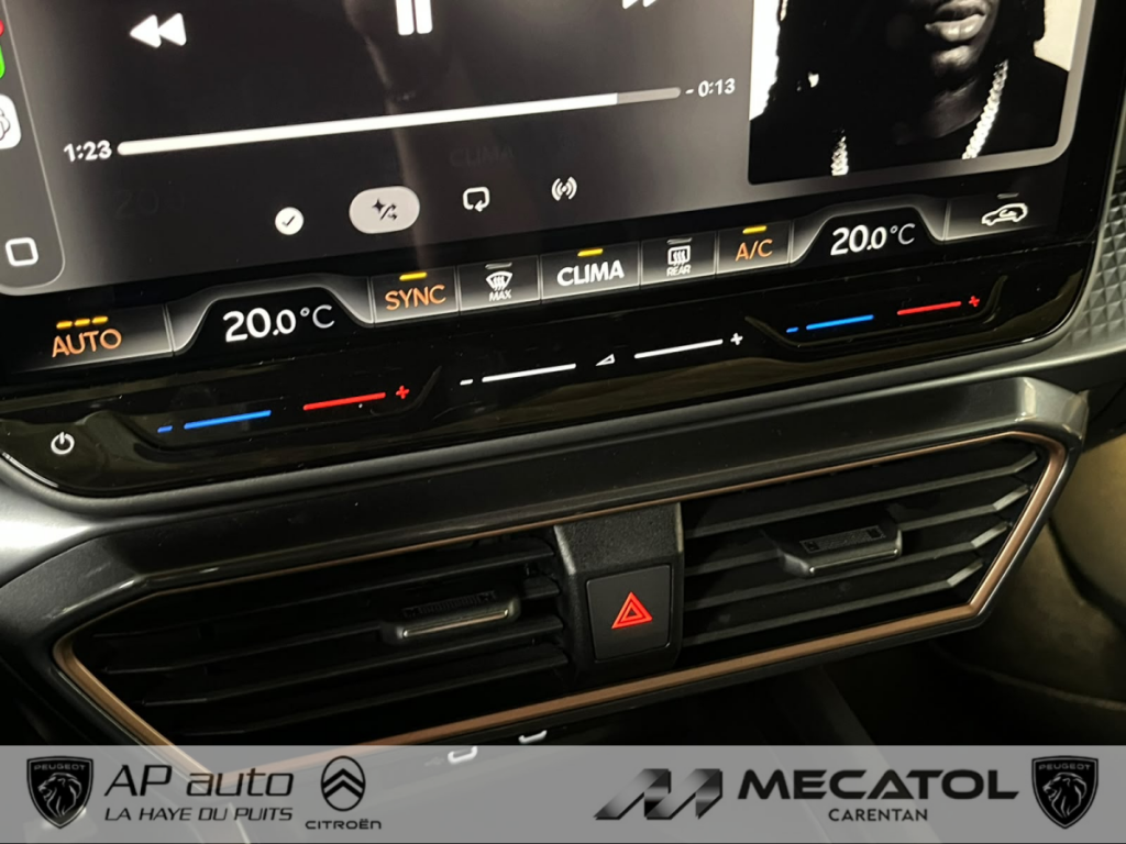 Cupra Formentor 2.0 TDI 150CH DSG7 V