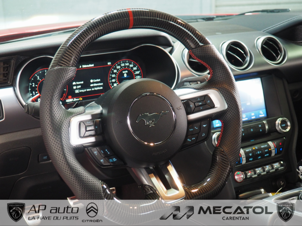 Ford Mustang (6) Fastback V8 BVM6 GT