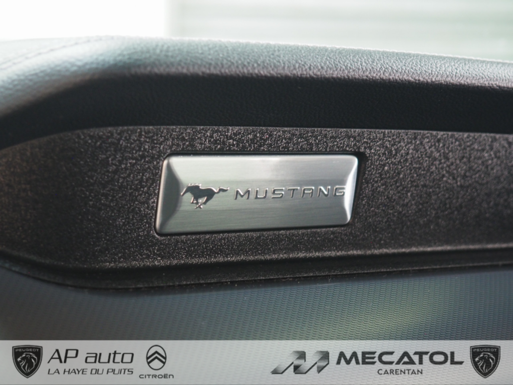 Ford Mustang (6) Fastback V8 BVM6 GT